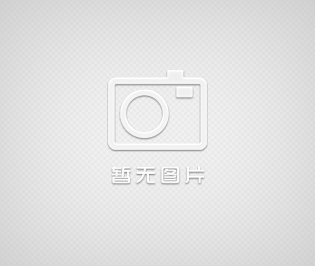 ROSTA彈性減震裝置